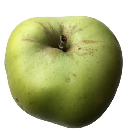 Cooking Apple