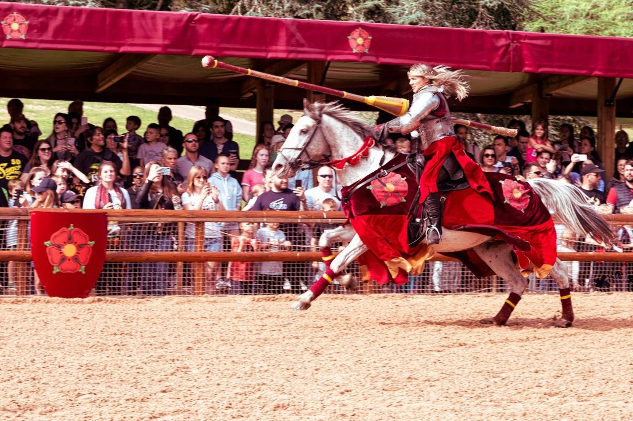 Rose Symbol Jousting