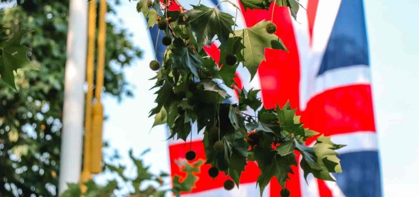 British flag behind a horse chestneut tree