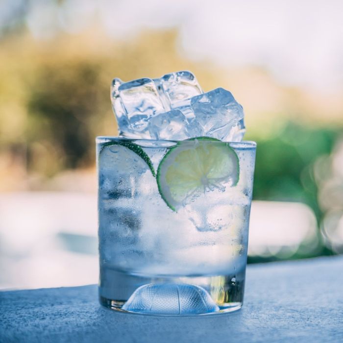 Ginuary Gin and Tonic