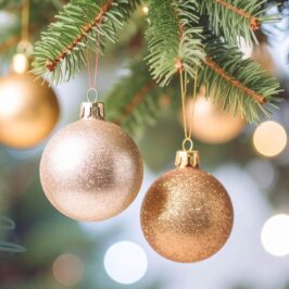 Norway Spruce Christmas Tree